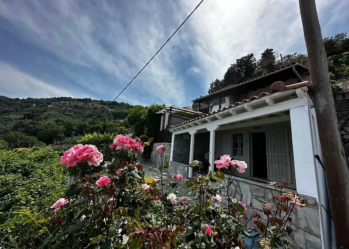 Το Άσπρο Σπίτι