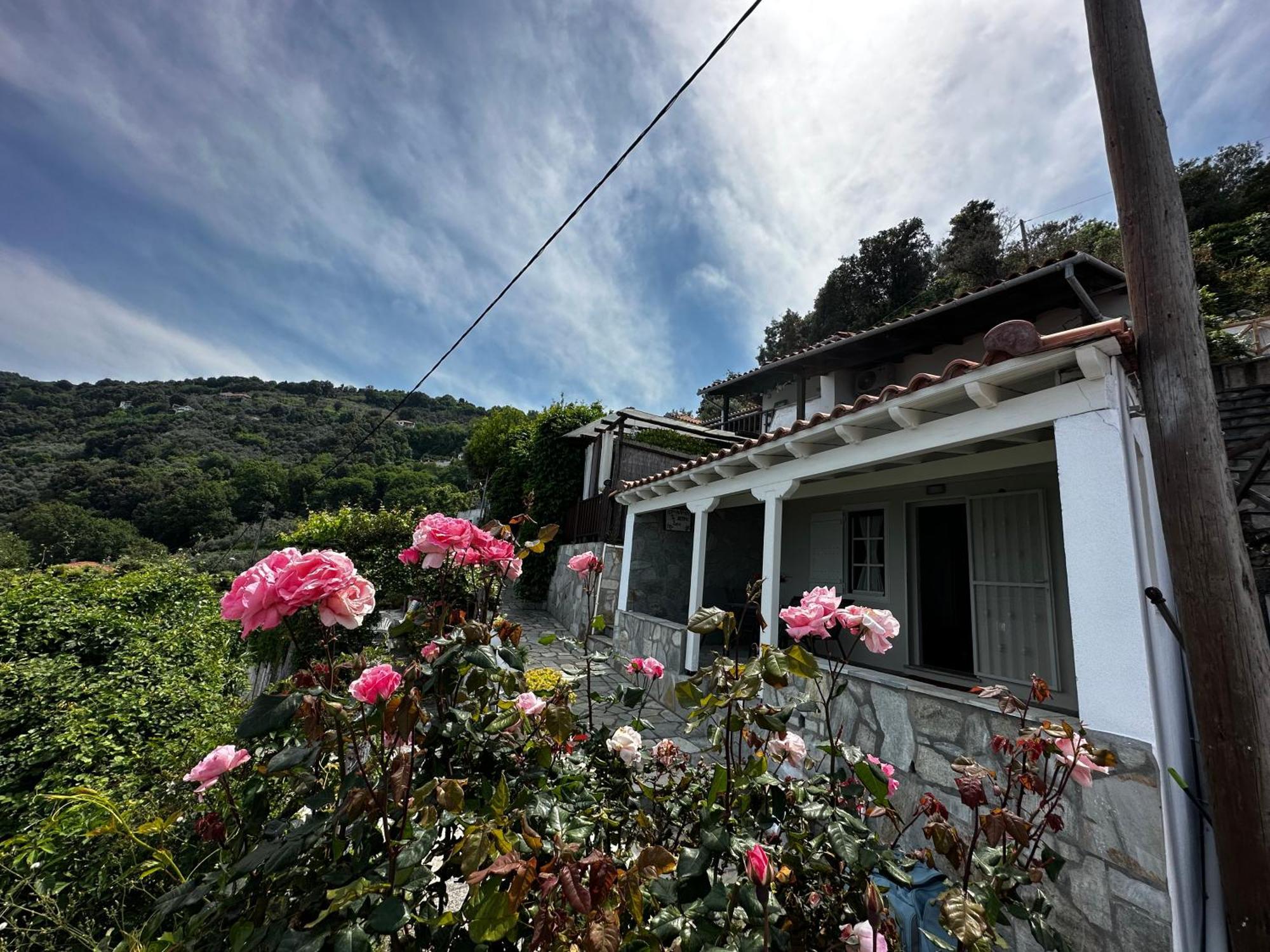 το άσπρο σπίτι Appartement